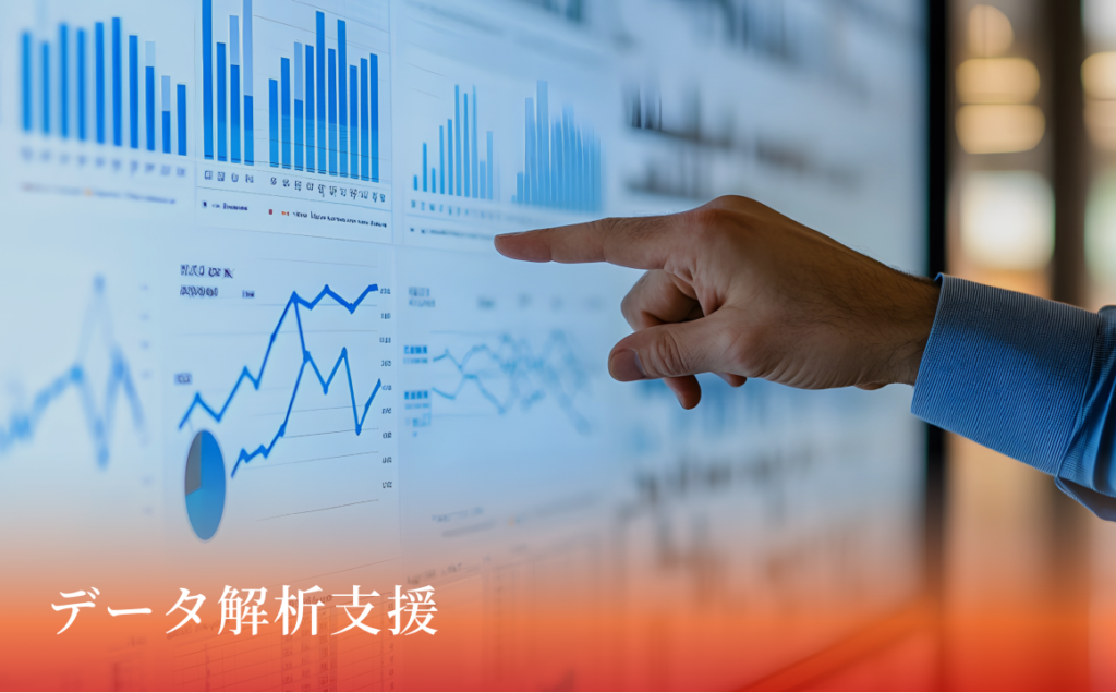 データ解析支援